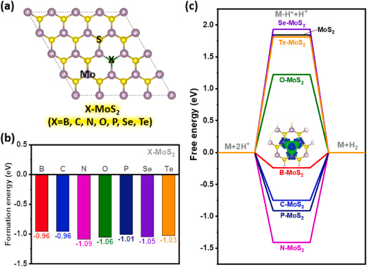 234.Identification nonmetal doping induced S vacancy to active MoS2 for hydrogen evolution reaction via structural descriptor