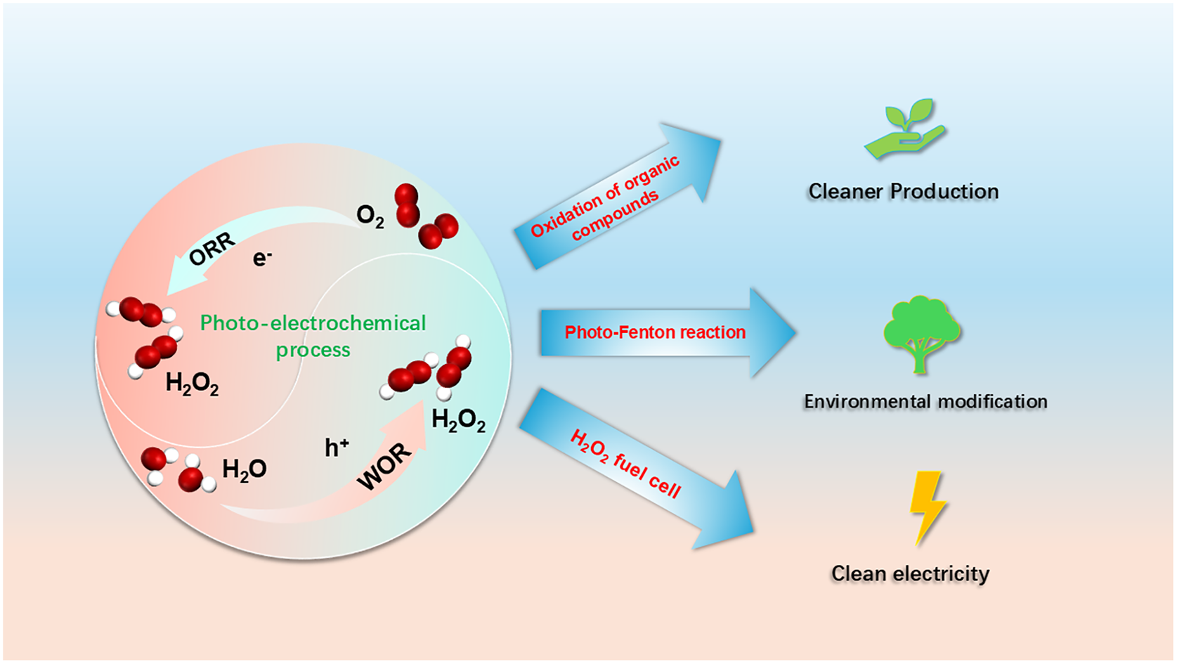 247.Recent progress of photo-electrochemical hydrogen peroxide production and its cascade reaction, Recent progress of photo-electrochemical hydrogen peroxide production and its cascade reaction