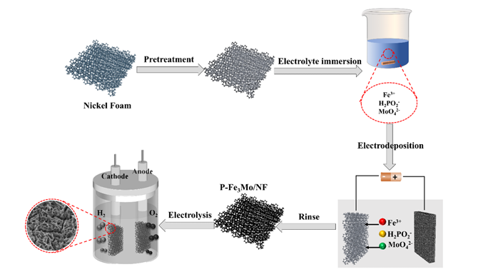 253.Constructing novel P-doped Fe3Mo for highly efficient and stable overall water splitting in alkaline electrolyzers